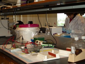 Laboratory Bench 